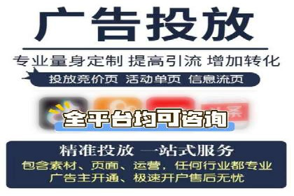 竞价广告赚钱秘籍：百度实战案例